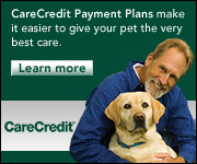 Care Credit